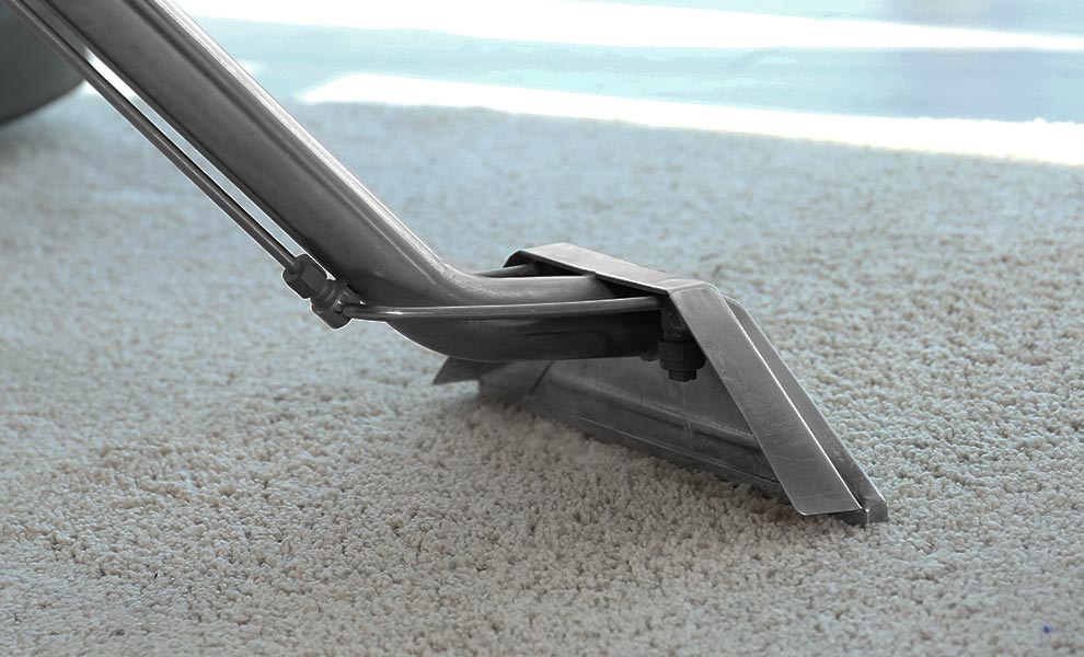 Carpet Cleaning Services Hippo Carpet Cleaning Arlington